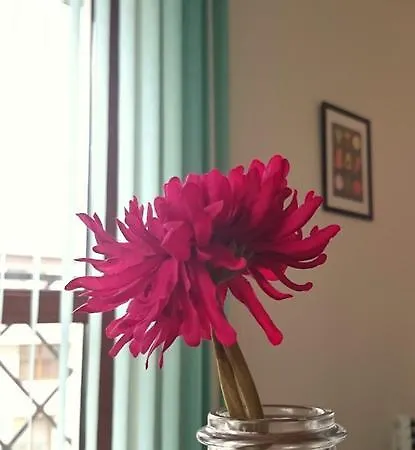 Lilly's